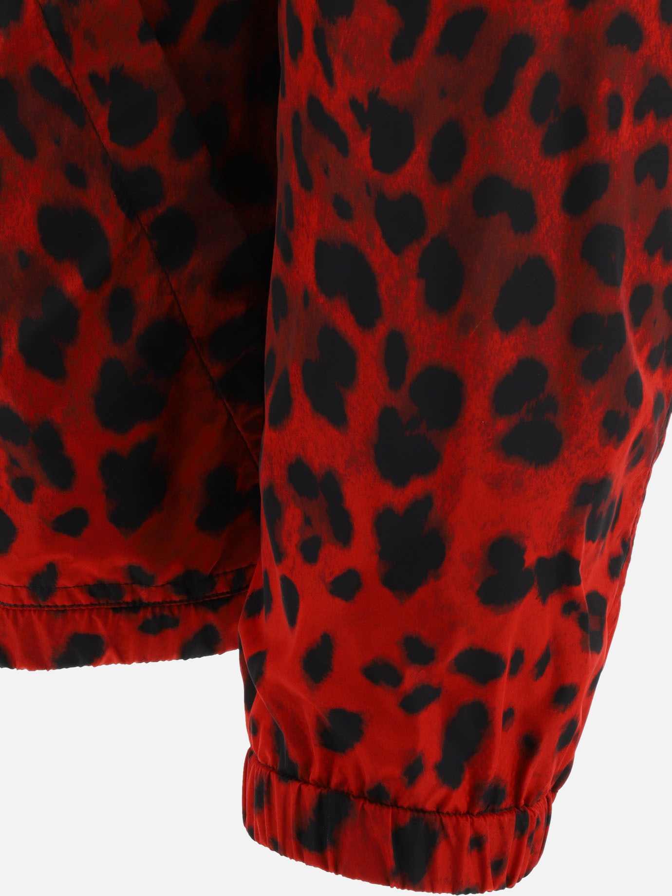 Giacca a vento  Leopard  by Dolce & Gabbana