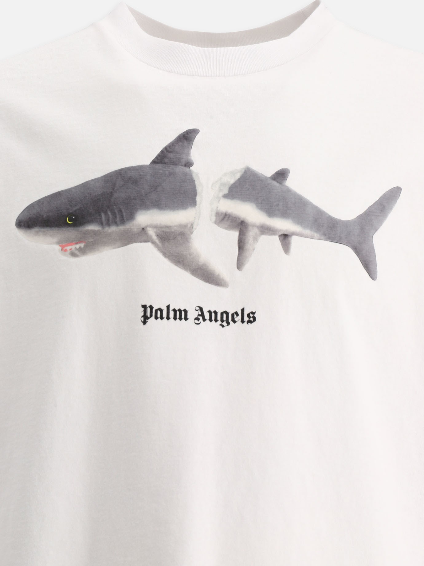 Shark  t-shirt by Palm Angels