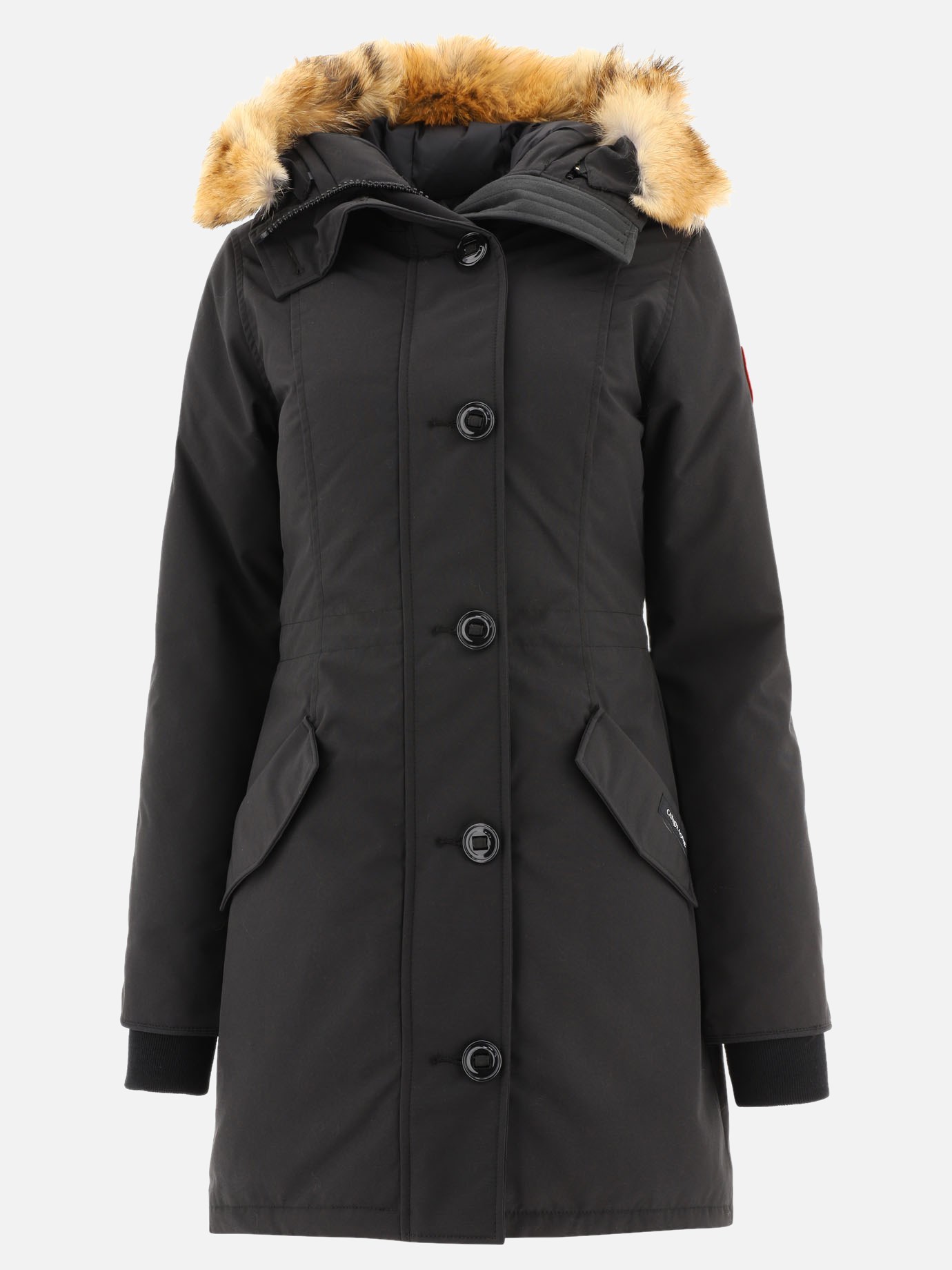 canada goose 2580