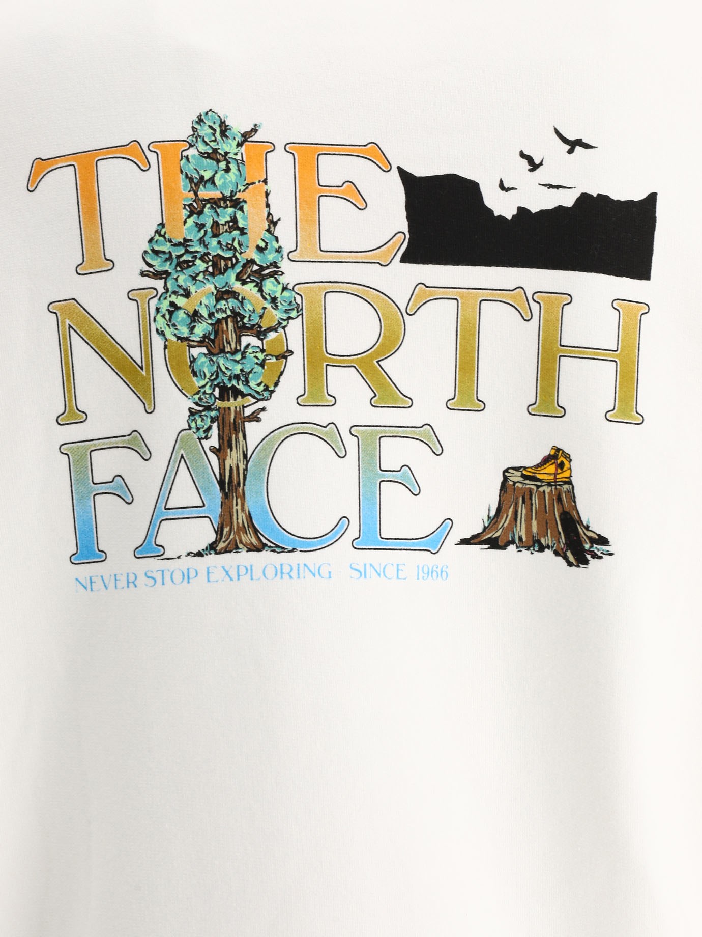 Felpa  Seasonal Graphic  by The North Face